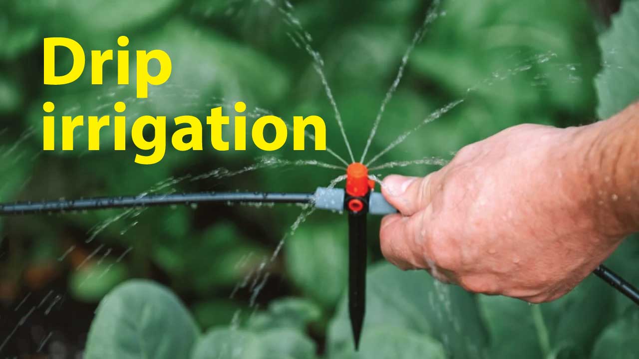 Drip Irrigation System