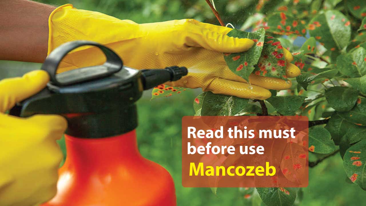 Mancozeb fungicide