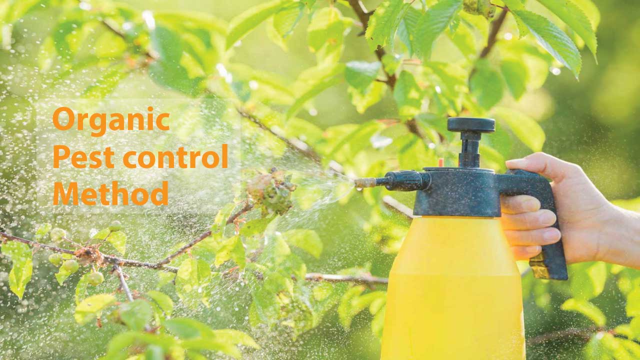 Organic pest control