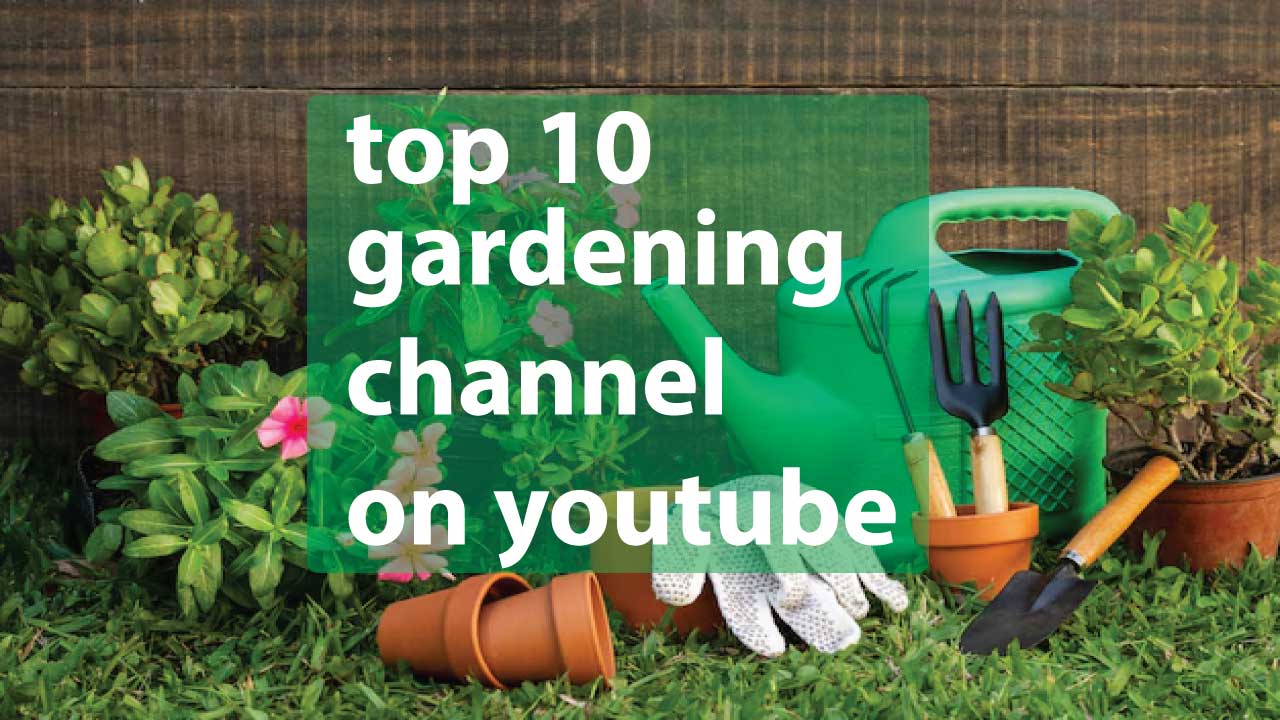 Top 10 Gardening Channels on YouTube