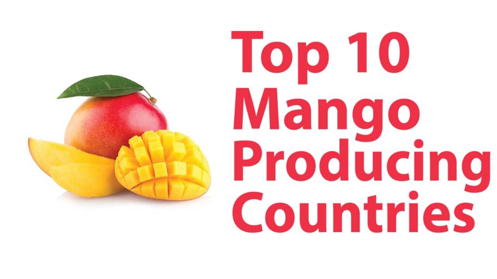 Top 10 Mango Producing Countries